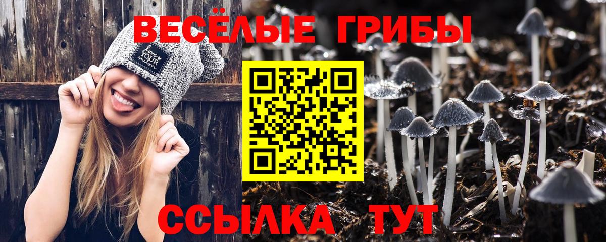 Псилоцибиновые грибы мухоморы  закладки  Вход с VPN  Кандалакша  Псилоцибиновые грибы прущие грибы 